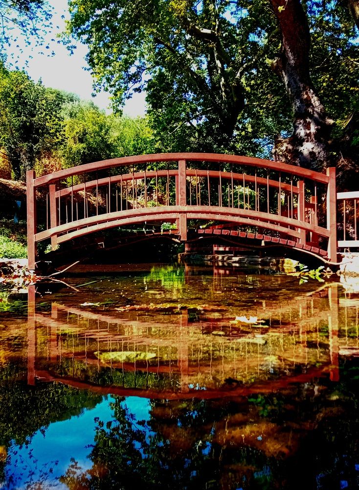 When the nature creates bridges