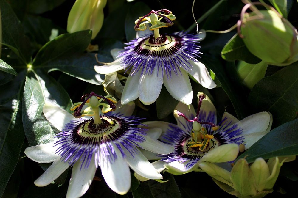 Photograph by Татьяна Пальчикова