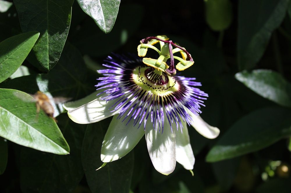 Photograph by Татьяна Пальчикова