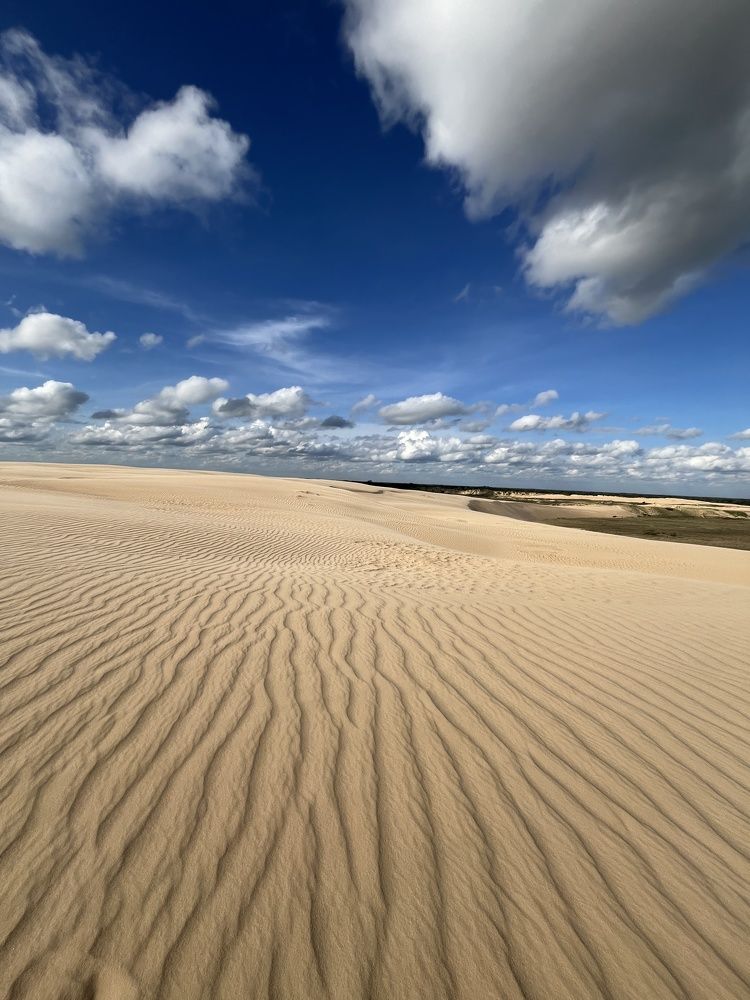 Photograph by CARMEN RAMON CAMI