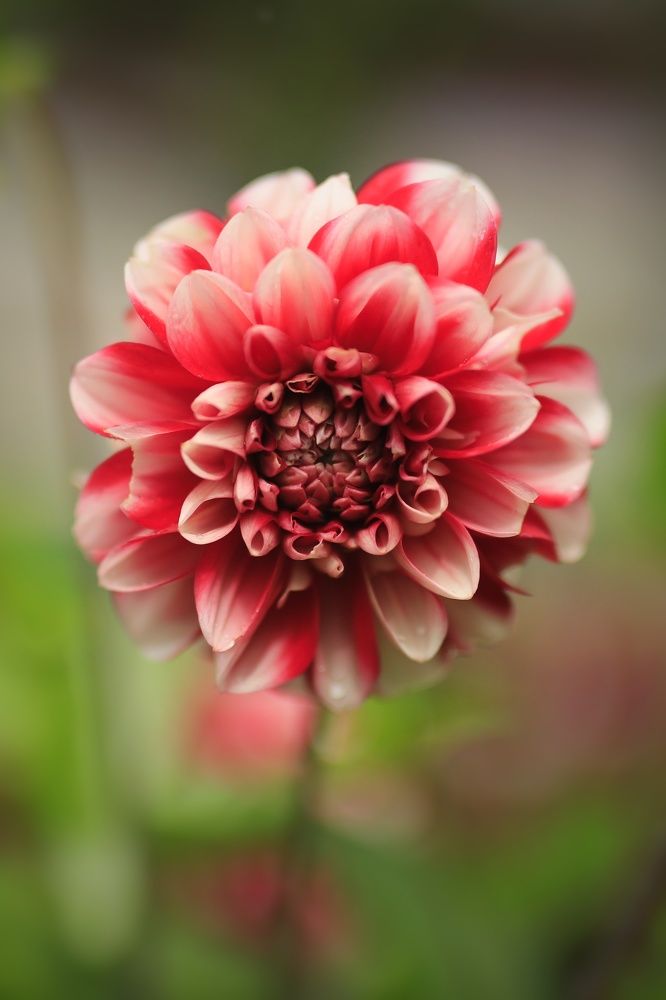 Photograph by Владимир Микрокосмос