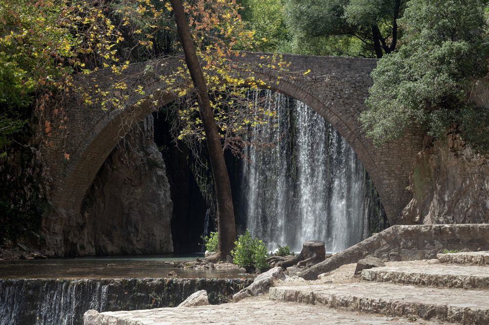 Photograph by TETYANA LYAPI