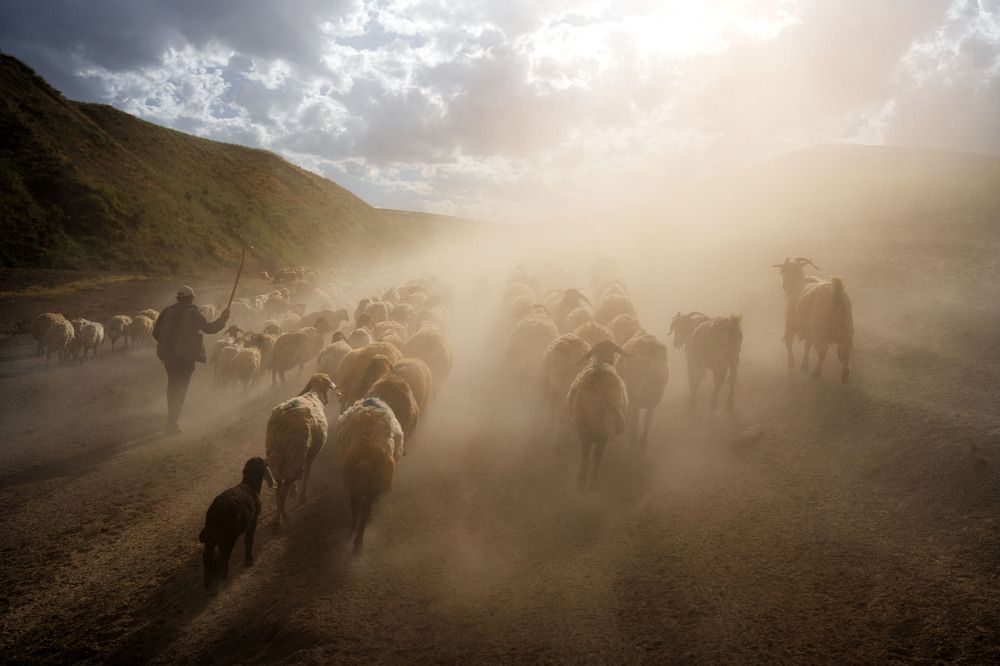 Photograph by Esra Bürçün