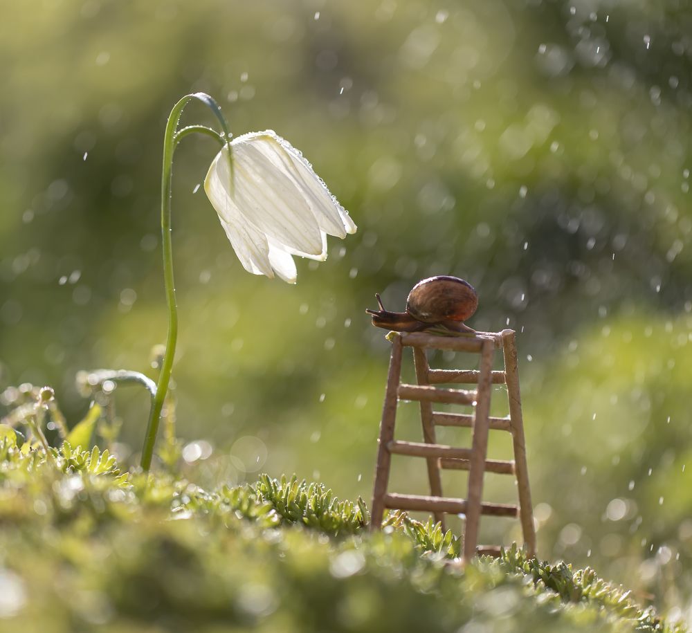 Photograph by Tatyana Fedenkova