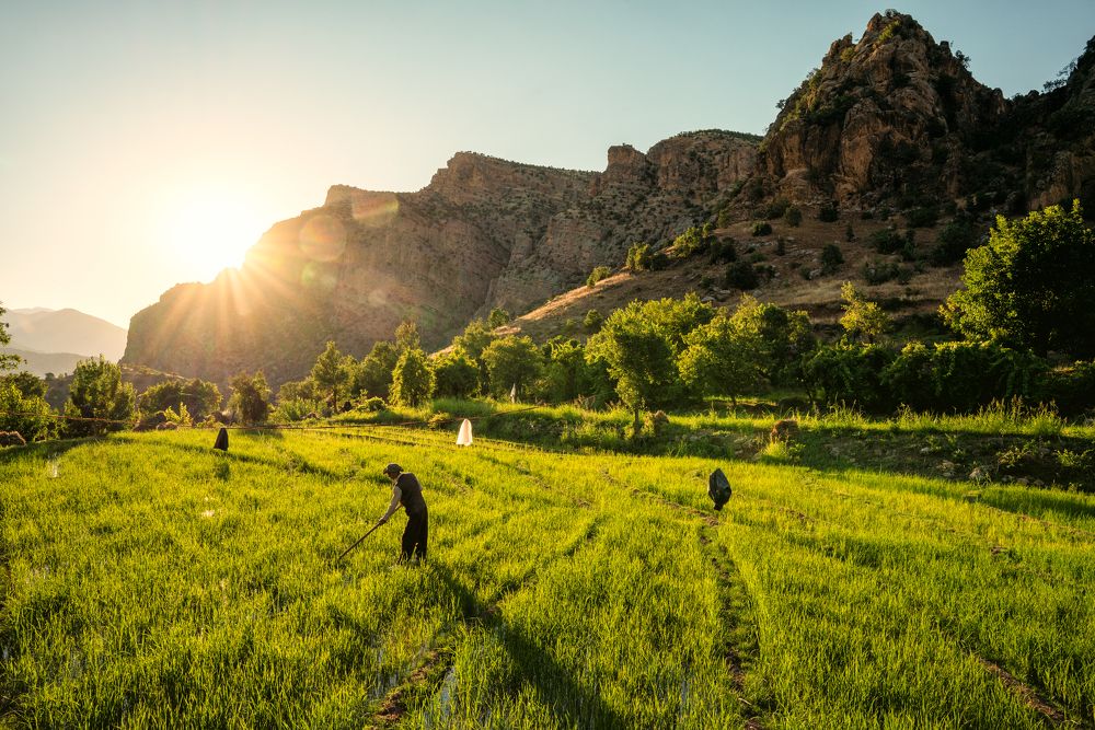 Фотография автора Esra Bürçün