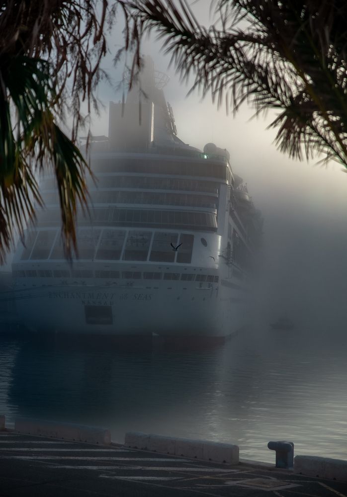 Фотография автора Dr_Plat