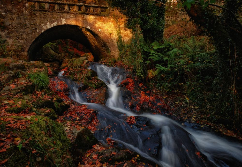 Фотография автора Kanstantsin Markevich