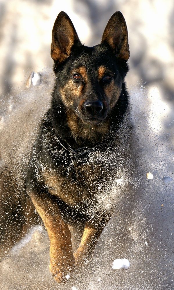 Photograph by Сергей Жиркевич