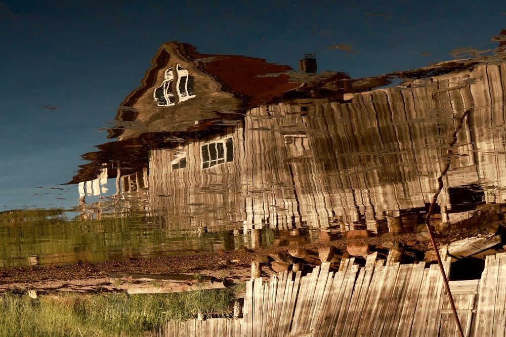 Photograph by Евгения Казакова