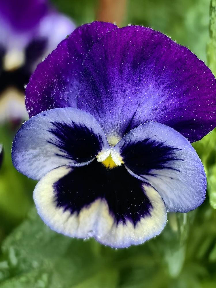 Photograph by Алексей Швайка