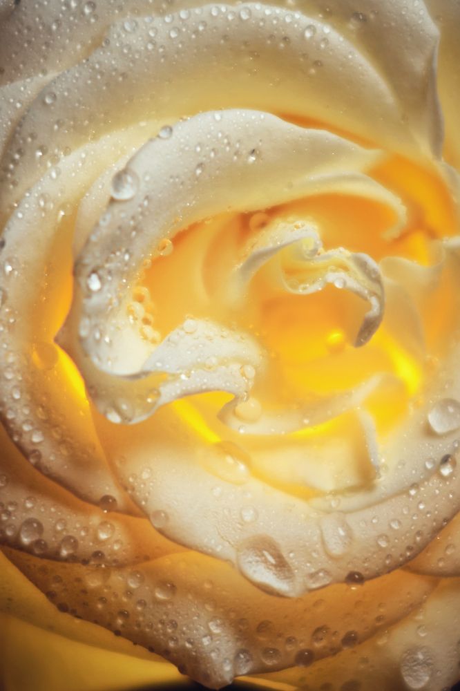 Photograph by Валерий Зенович