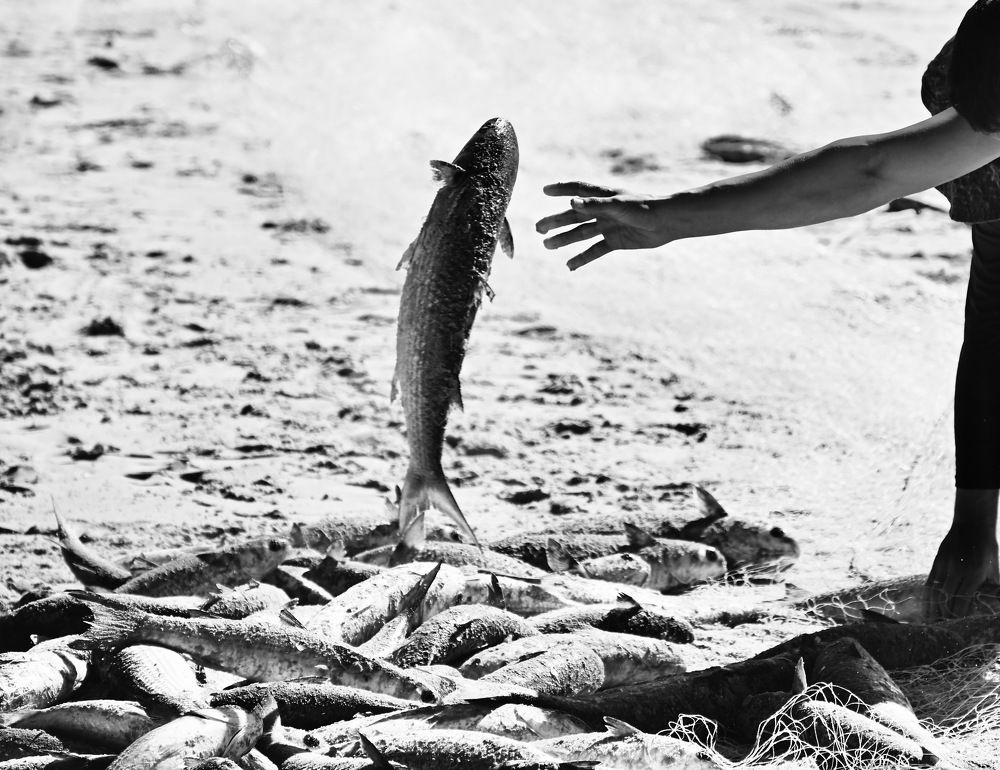 Photograph by Jaime Baiao