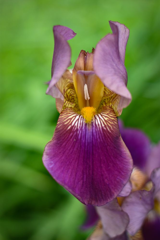 Photograph by Елизавета Турутина