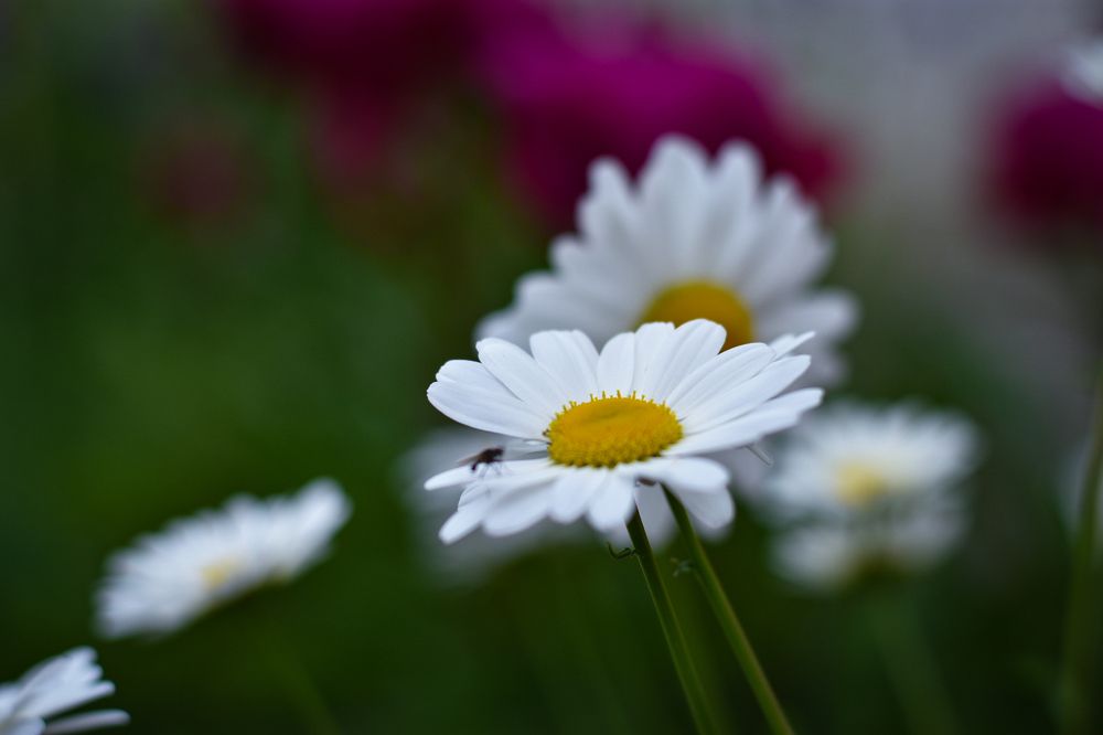 Photograph by Елизавета Турутина