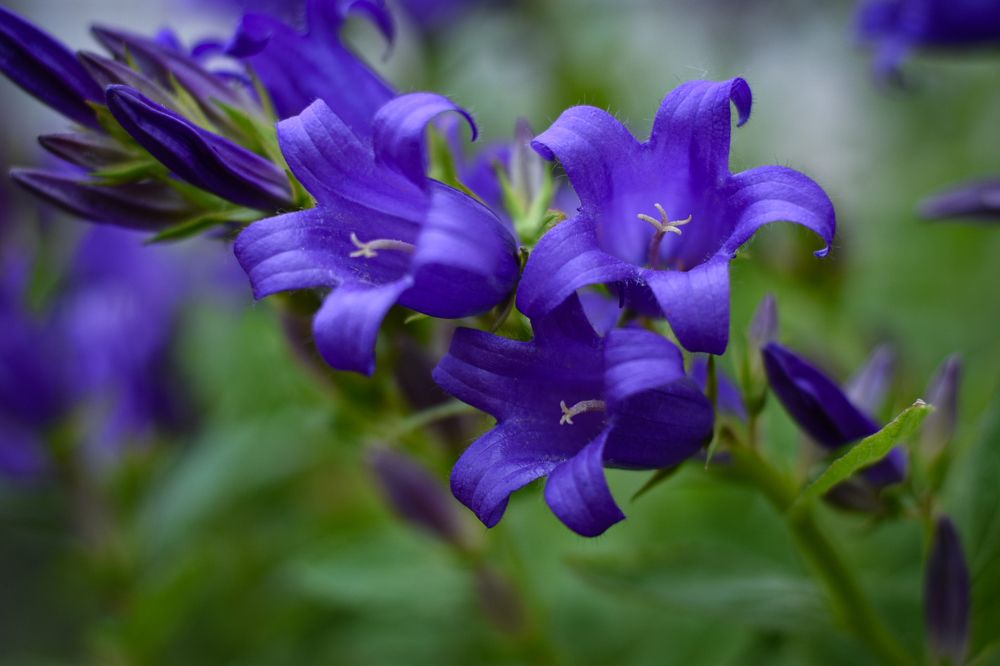 Photograph by Елизавета Турутина