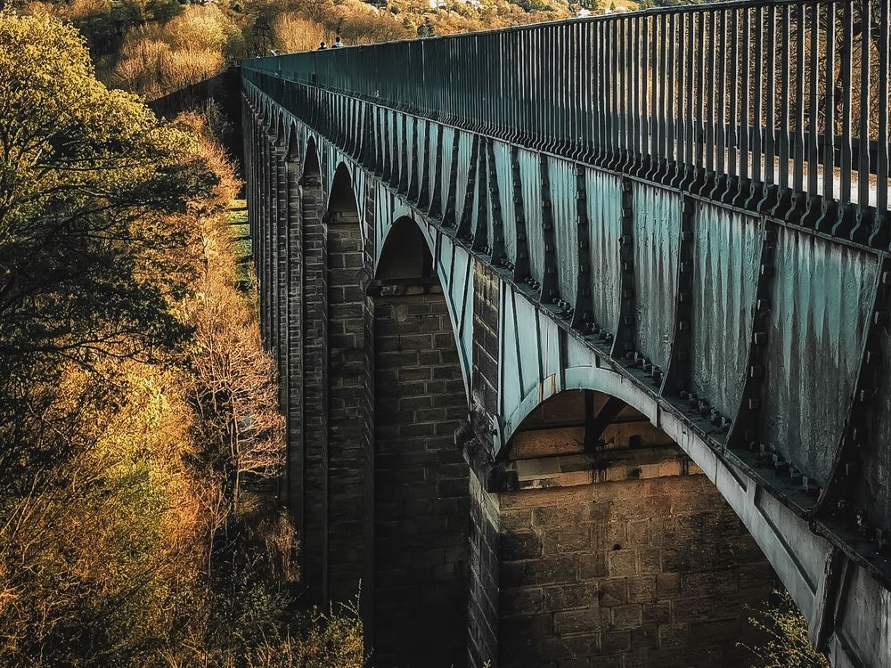 Photograph by Anya Lo