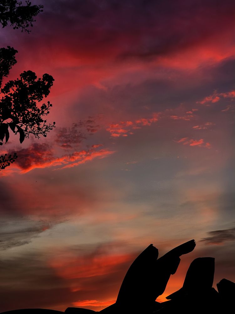 Фотография автора Jeff Cooley