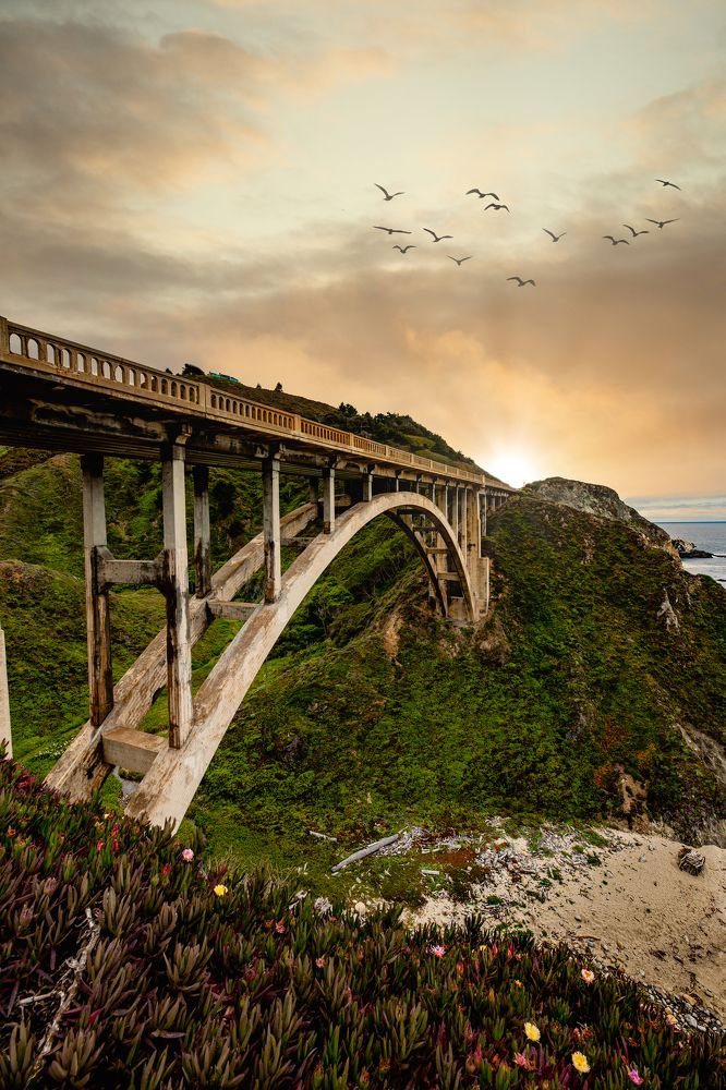 Фотография автора PIROUZ MOSHAVASH