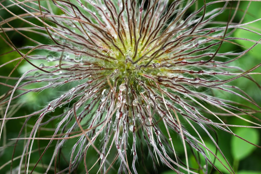 Легкая небритость