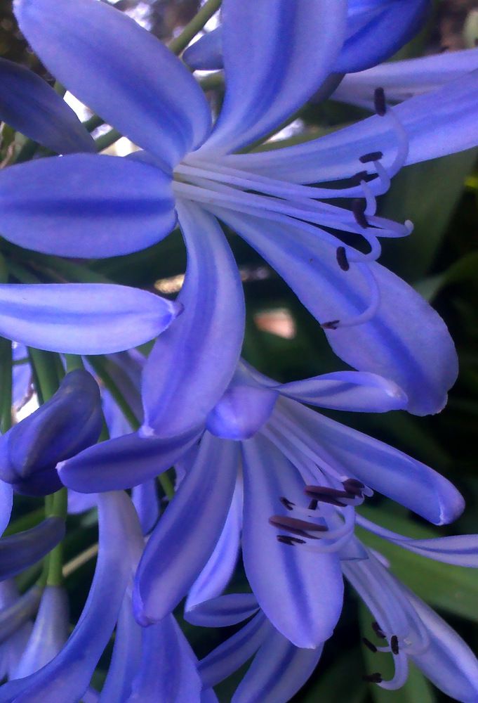 Фотография автора ANA  LIA