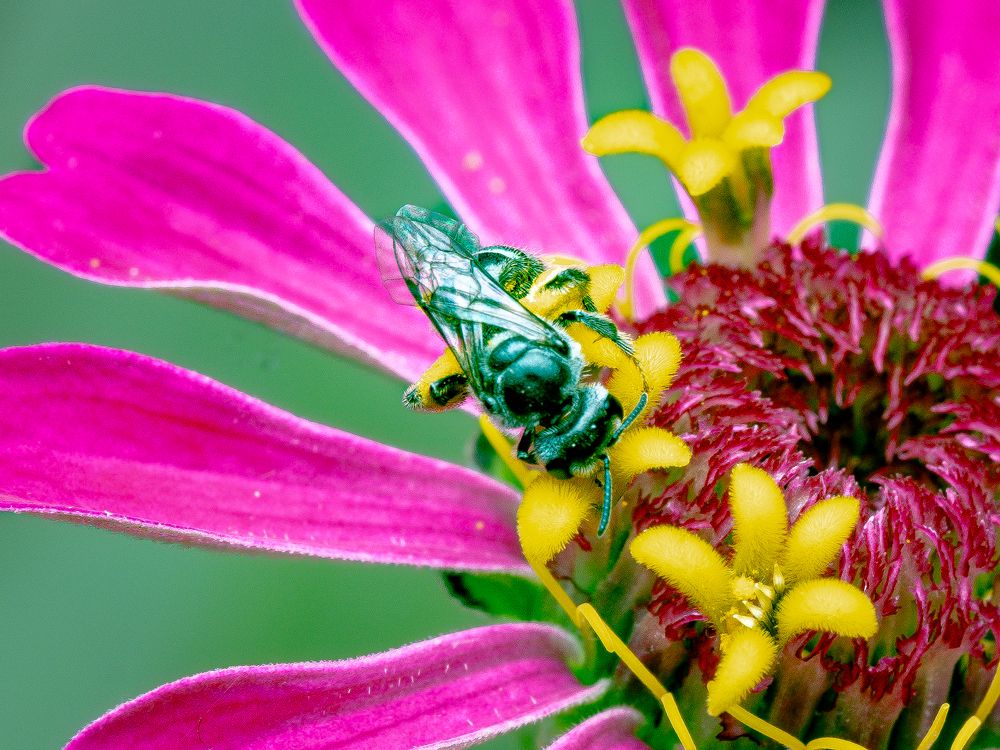 Photograph by Yustiawan