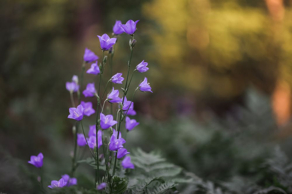 Photograph by Марина Суздаль