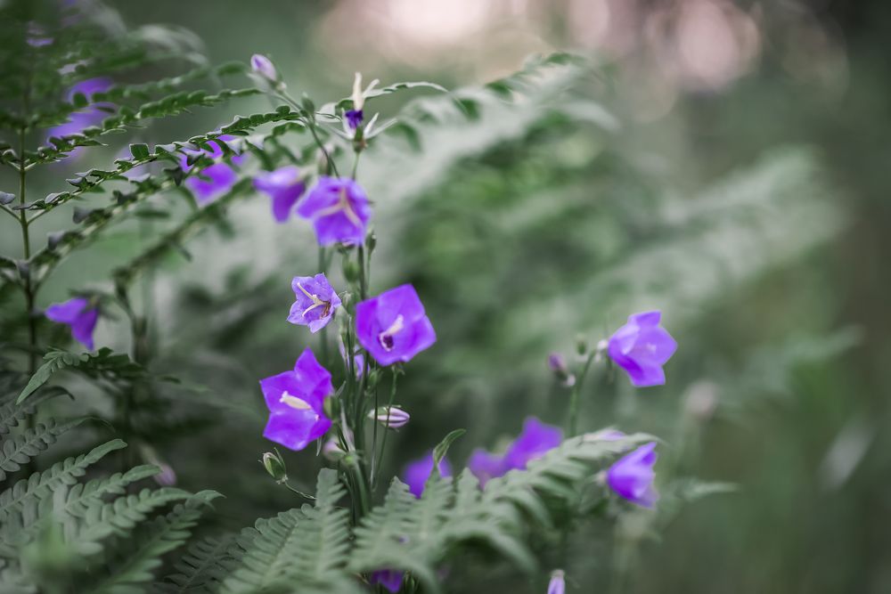 Photograph by Марина Суздаль
