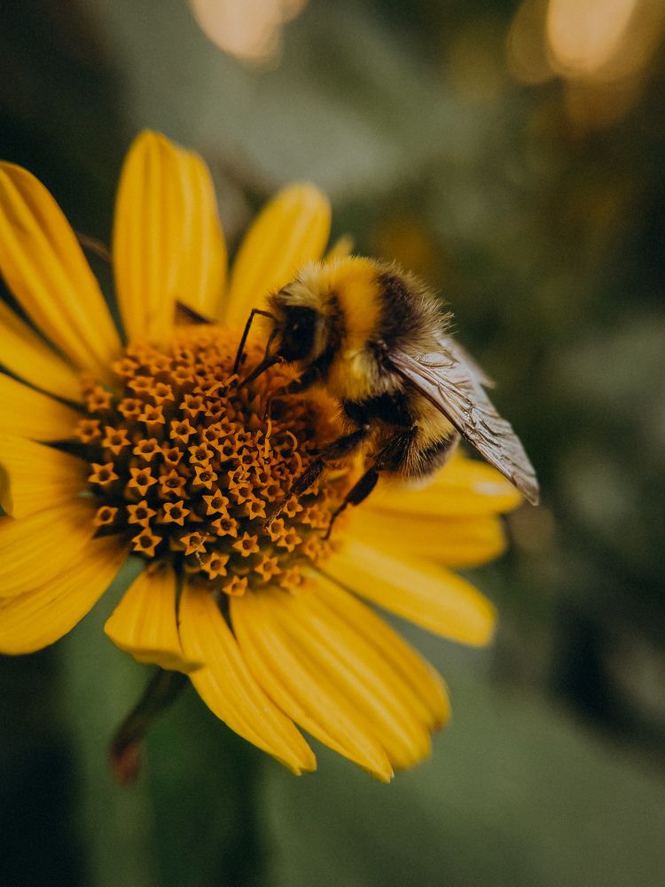 Photograph by Екатерина