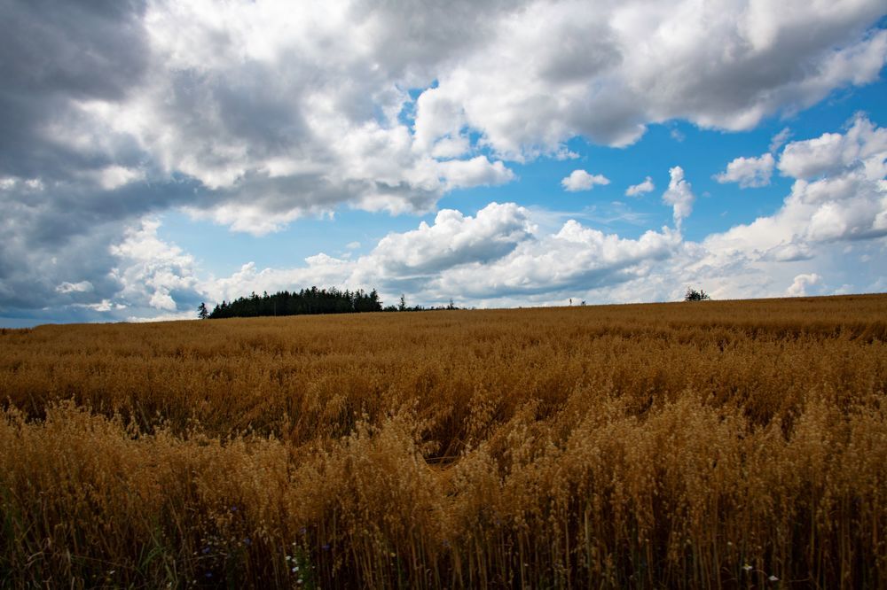 Photograph by Erich KARNBERGER