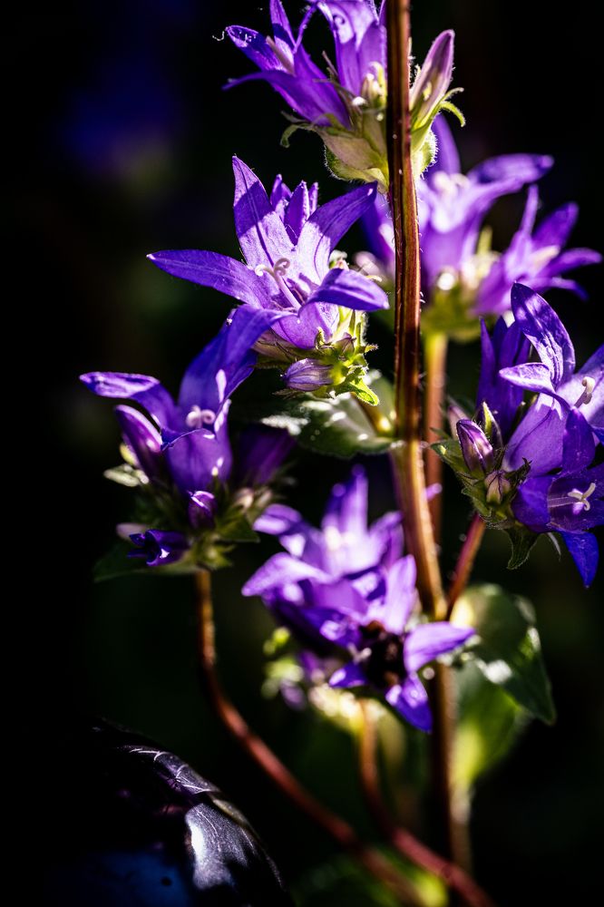 Photograph by Александра Ладыгина