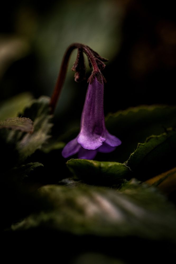 Photograph by Александра Ладыгина