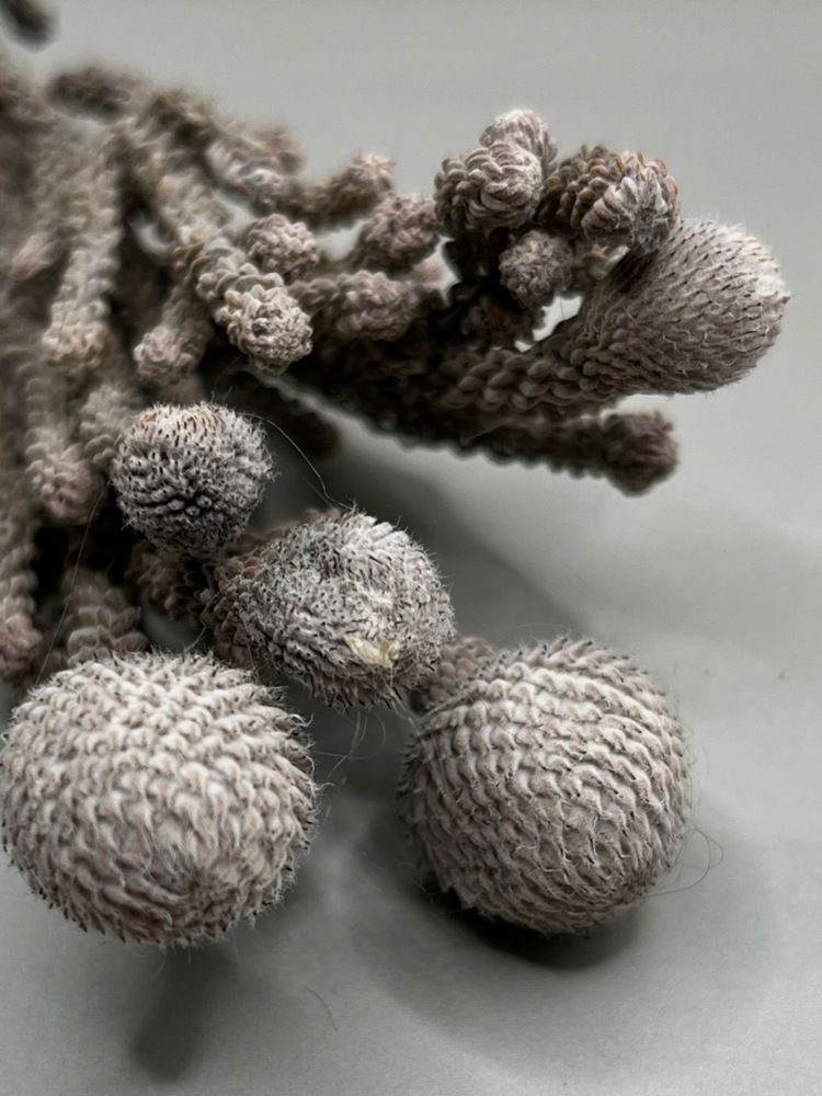 Photograph by Екатерина Усольцева