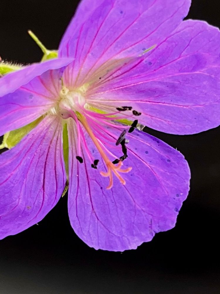 Photograph by Екатерина Усольцева