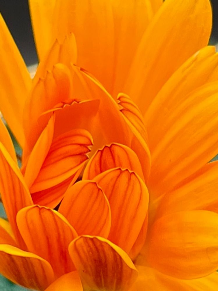 Photograph by Екатерина Усольцева