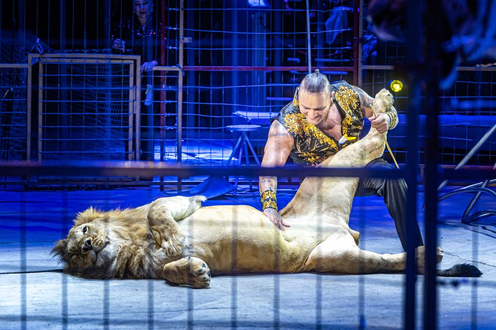 Photograph by Ольга Пачина