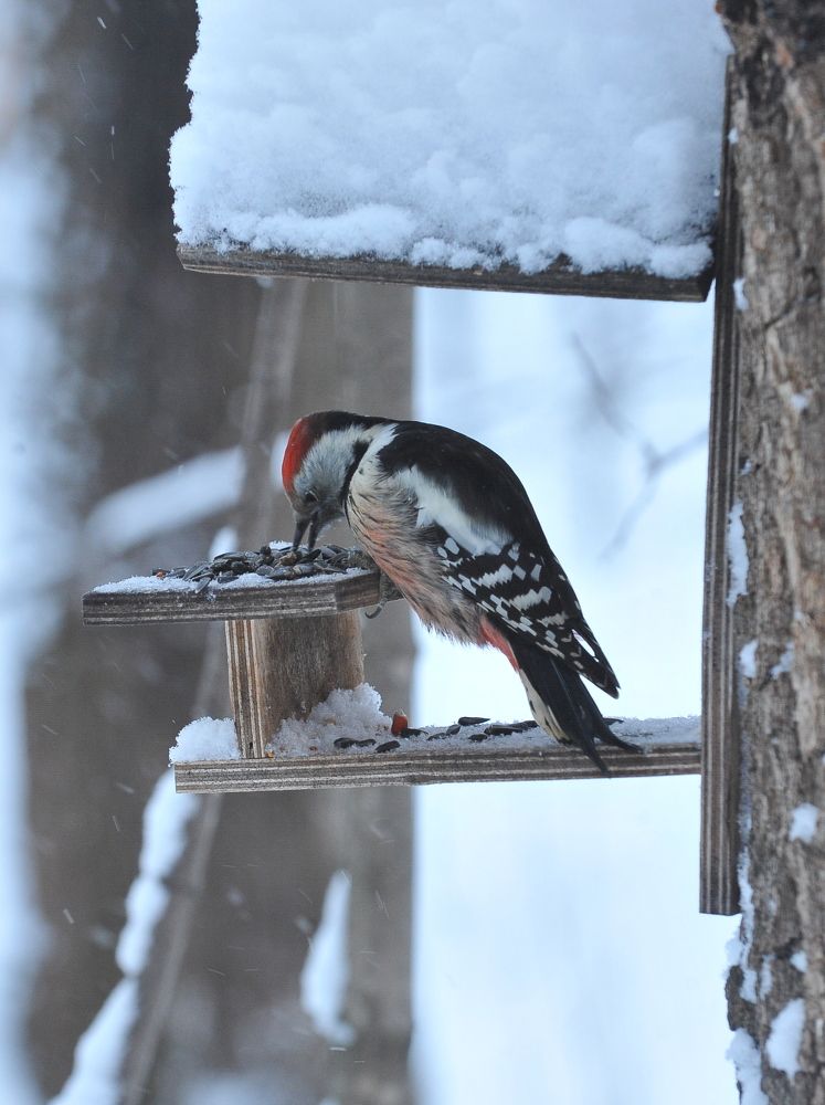 Photograph by Алексей Volg