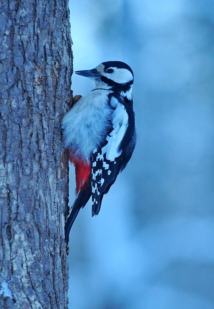 Photograph by Алексей Volg