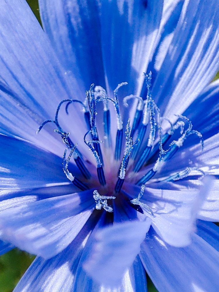 Photograph by Валентина