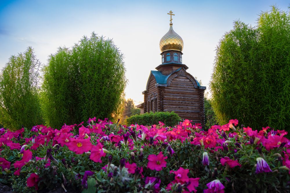 Photograph by Алина Щекотова