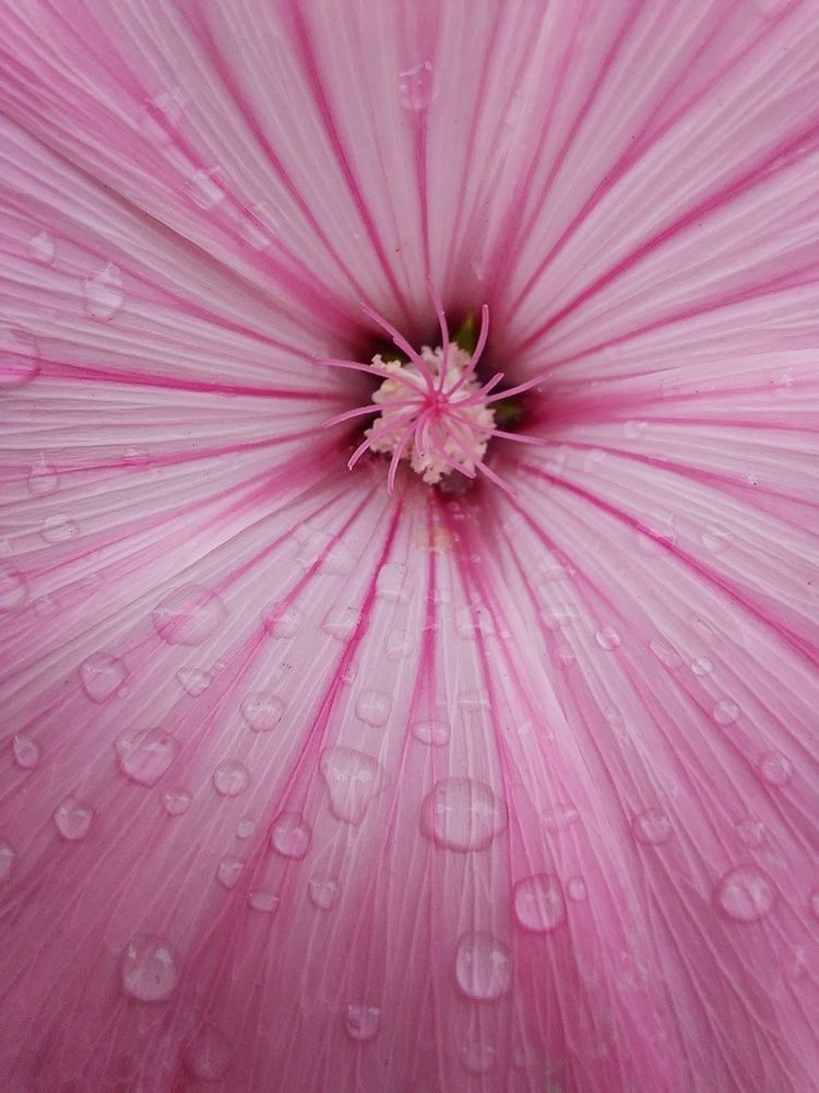 Photograph by Виктория Воронкова