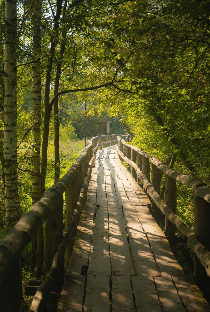 Photograph by Екатерина @Arigata