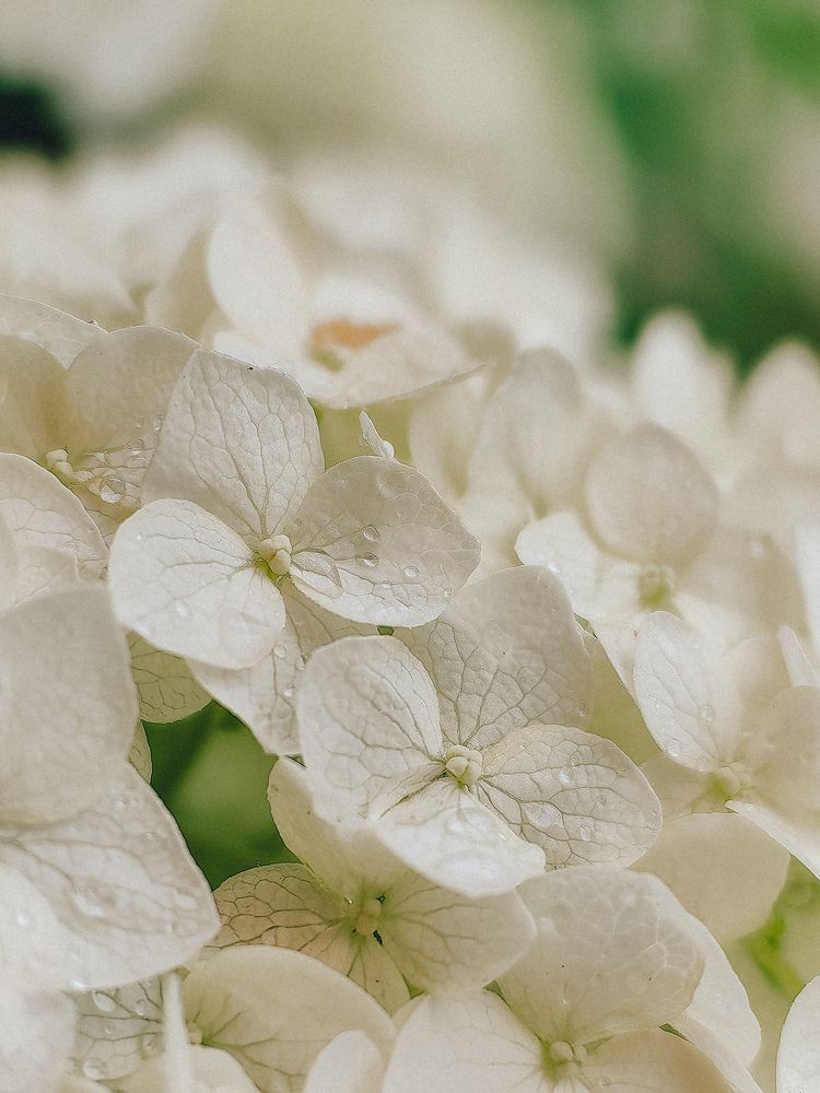 Фотография автора Ольга Панасюк