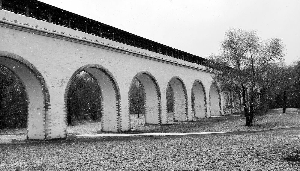 Photograph by Елена Казарина