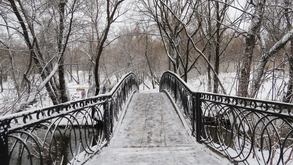 Photograph by Елена Казарина