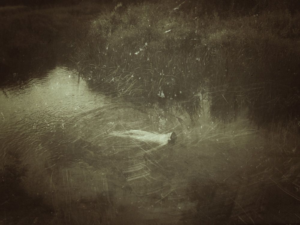 Photograph by Татьяна Могилевец