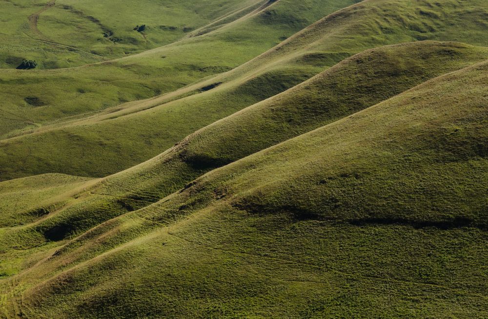 Photograph by Alexey S