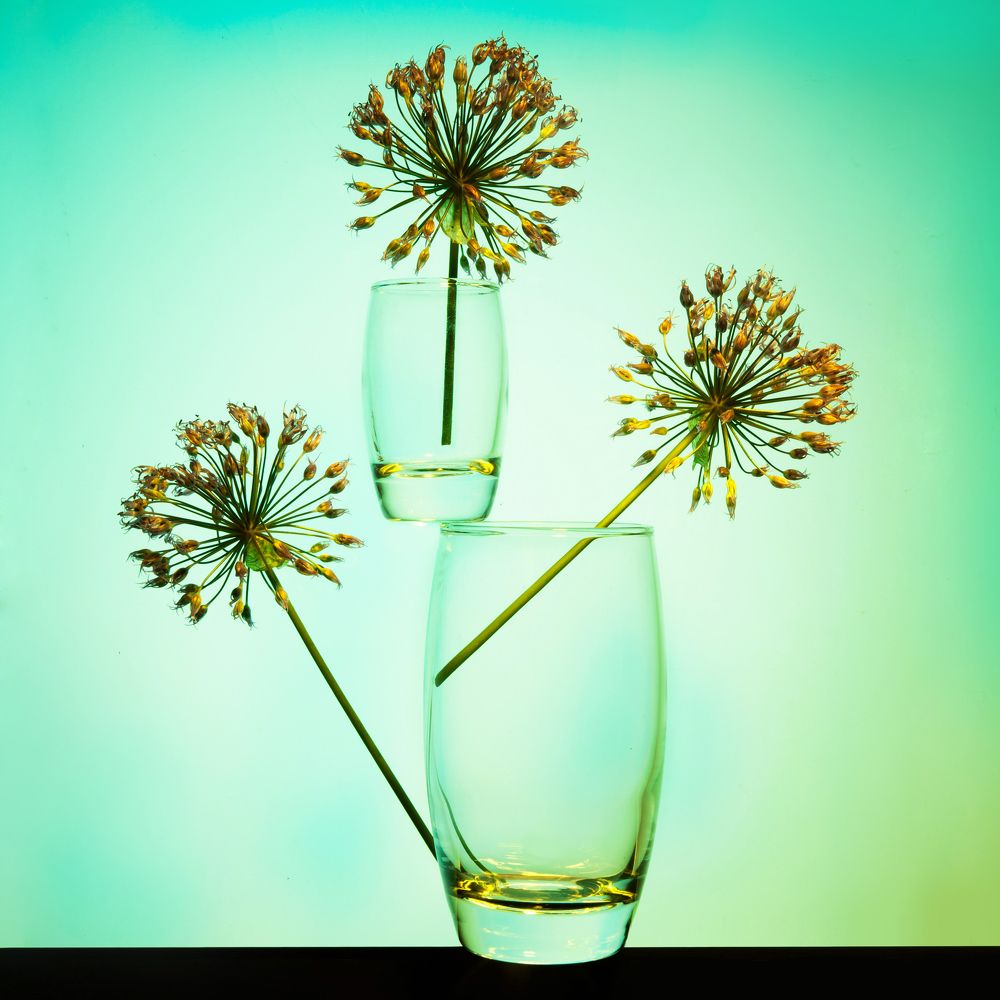 Photograph by Мария Кольцова