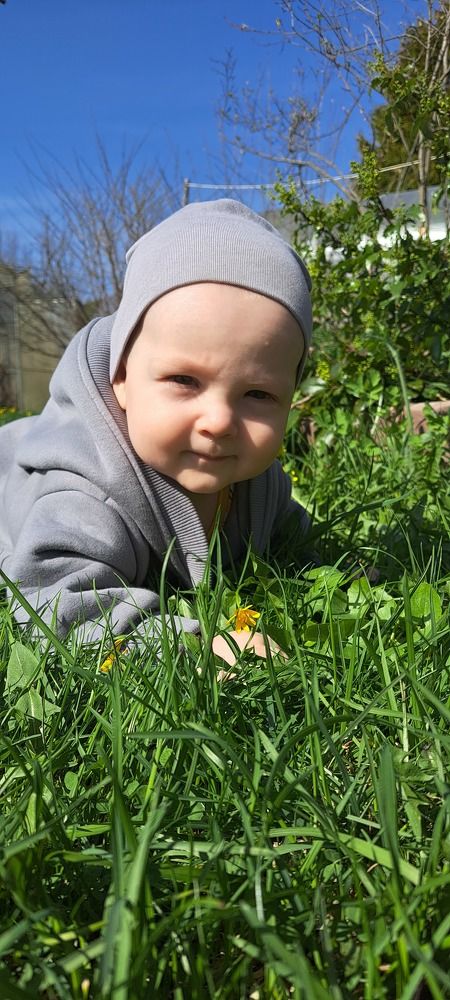Photo #10904683