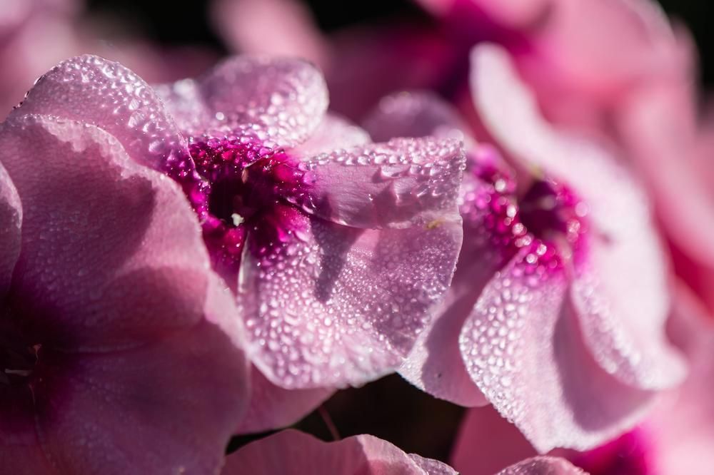 Photograph by Татьяна