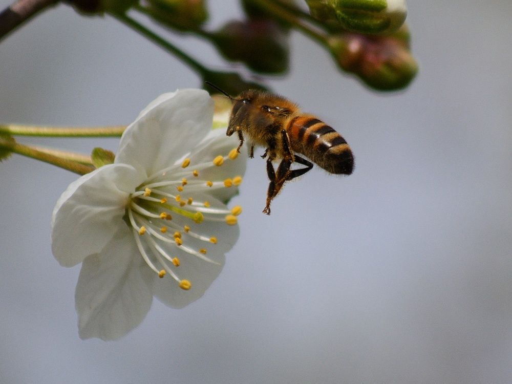 Photograph by Сергей Симаков